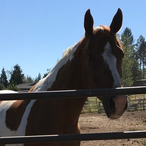 Meet your Posher, Ashlee